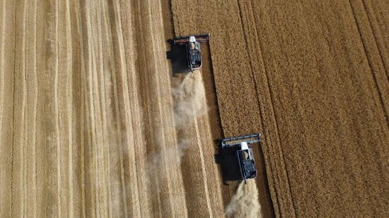 Russia Agriculture Wheat Harvesting