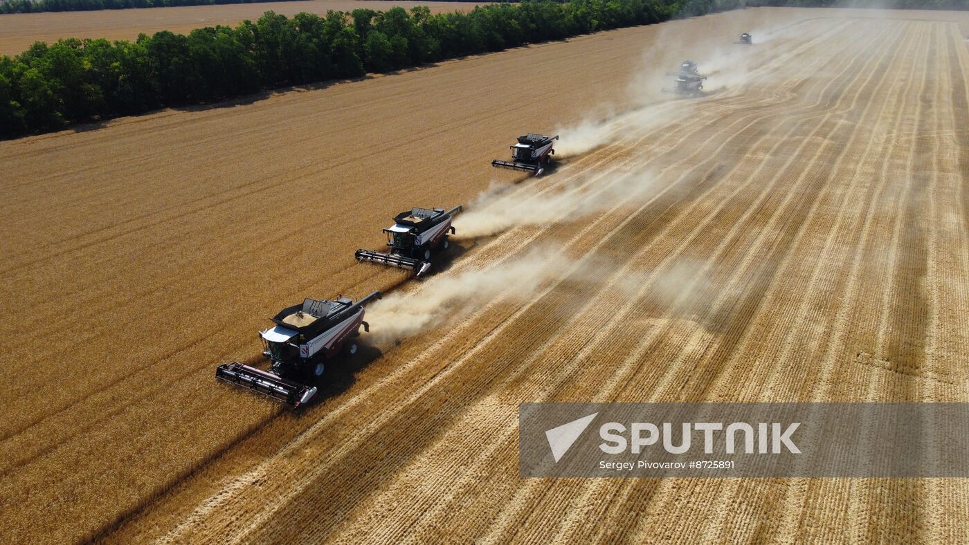 Russia Agriculture Wheat Harvesting