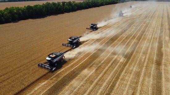 Russia Agriculture Wheat Harvesting