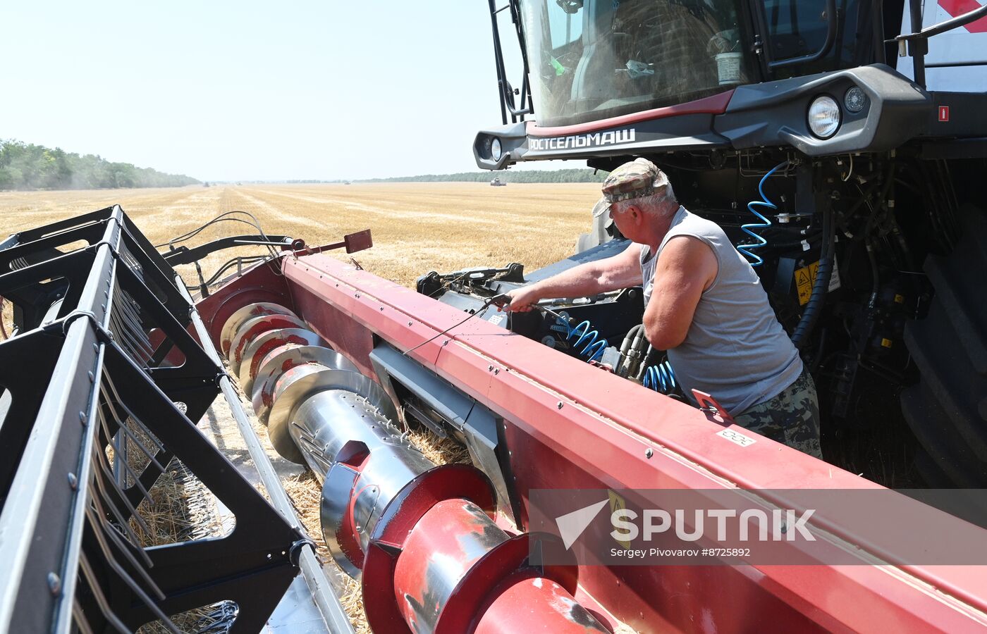 Russia Agriculture Wheat Harvesting