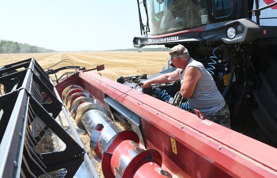 Russia Agriculture Wheat Harvesting