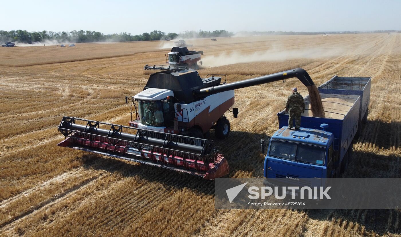 Russia Agriculture Wheat Harvesting