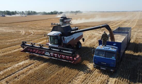 Russia Agriculture Wheat Harvesting