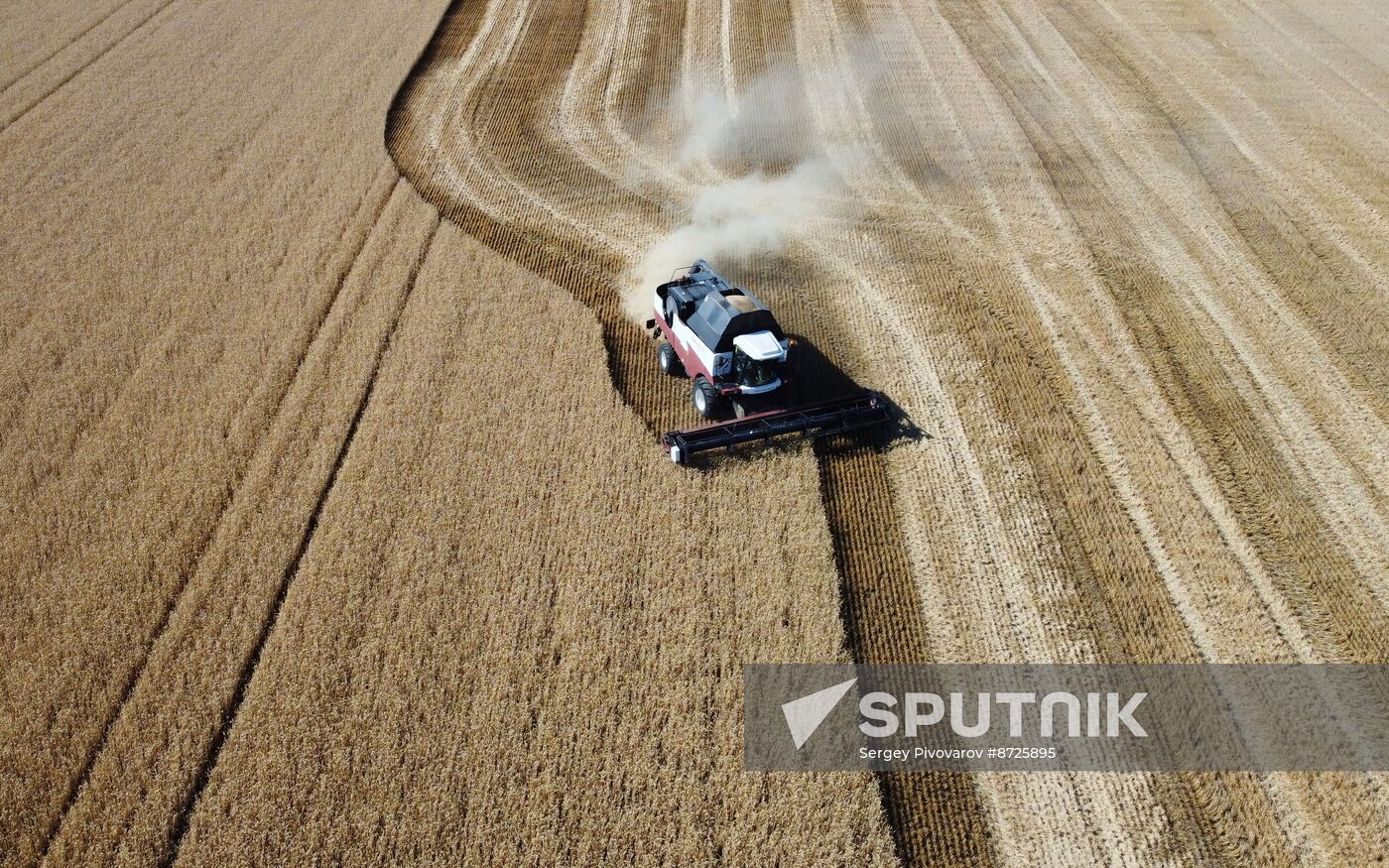 Russia Agriculture Wheat Harvesting