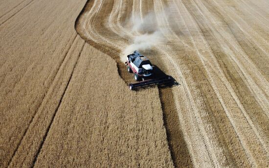 Russia Agriculture Wheat Harvesting