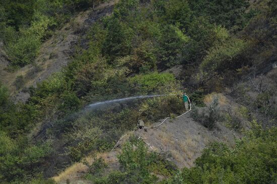 Russia Crimea Wildfire