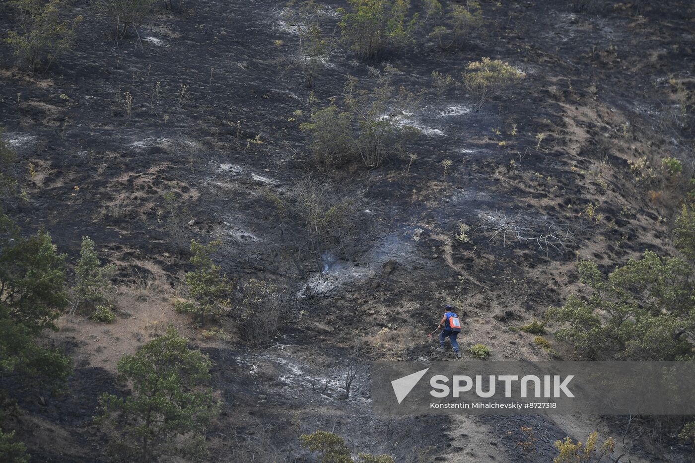 Russia Crimea Wildfire