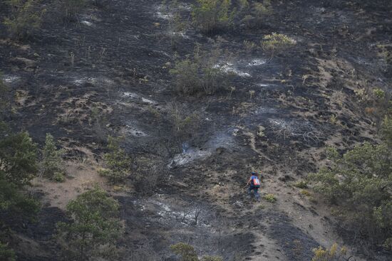 Russia Crimea Wildfire