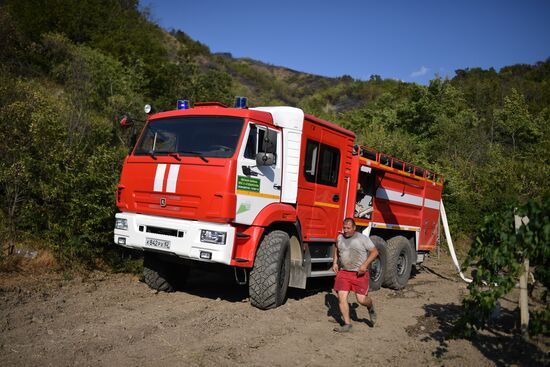 Russia Crimea Wildfire