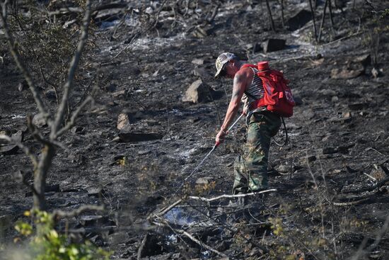 Russia Crimea Wildfire
