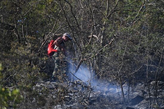 Russia Crimea Wildfire