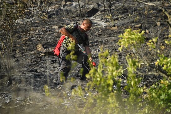 Russia Crimea Wildfire