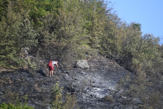 Russia Crimea Wildfire