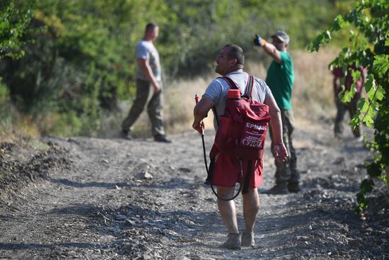 Russia Crimea Wildfire