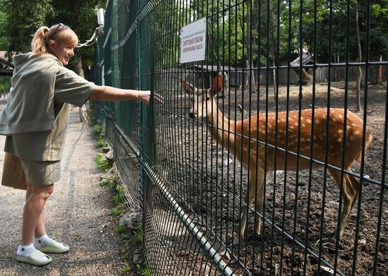 Russia Zoo