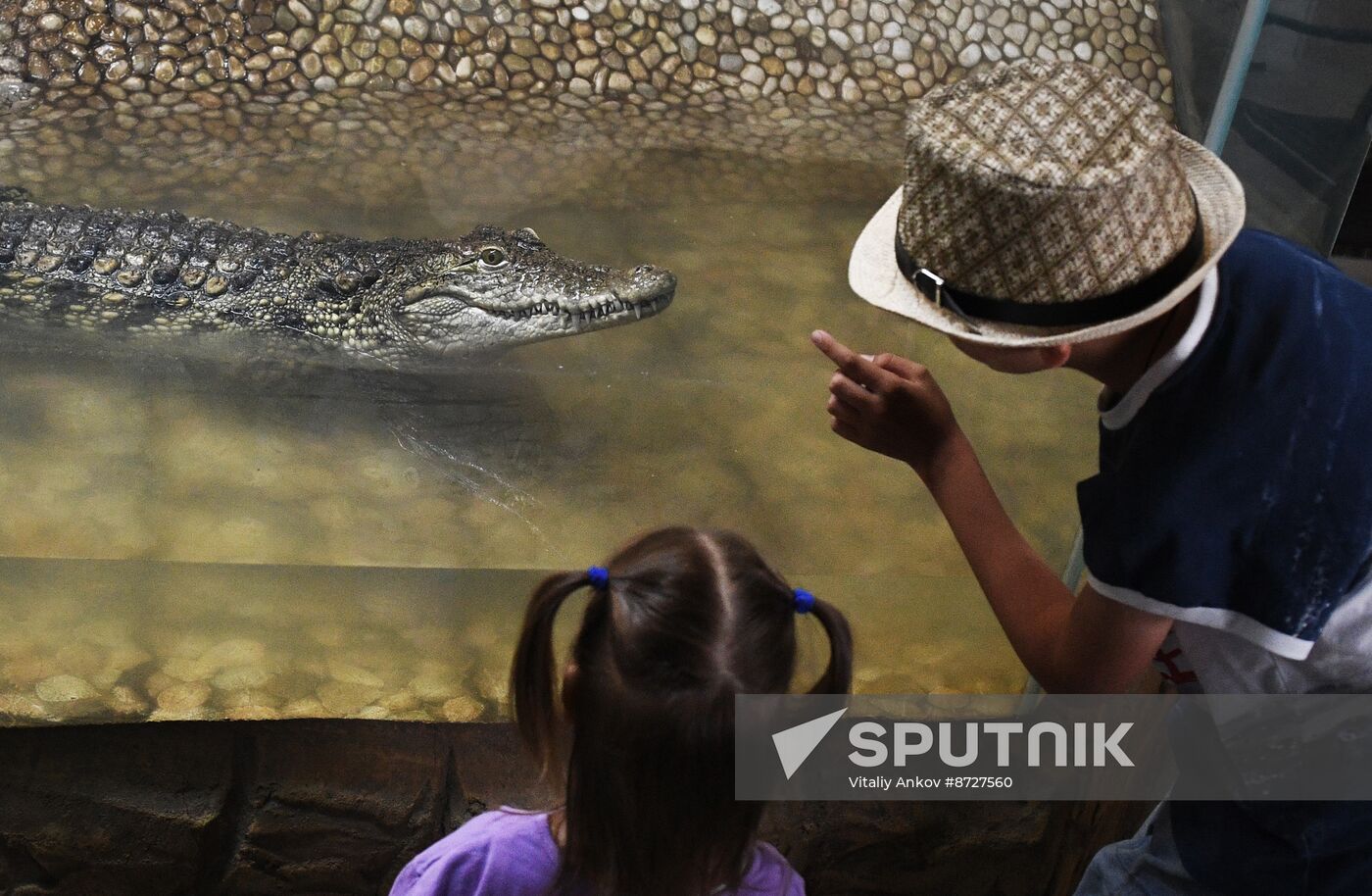 Russia Zoo