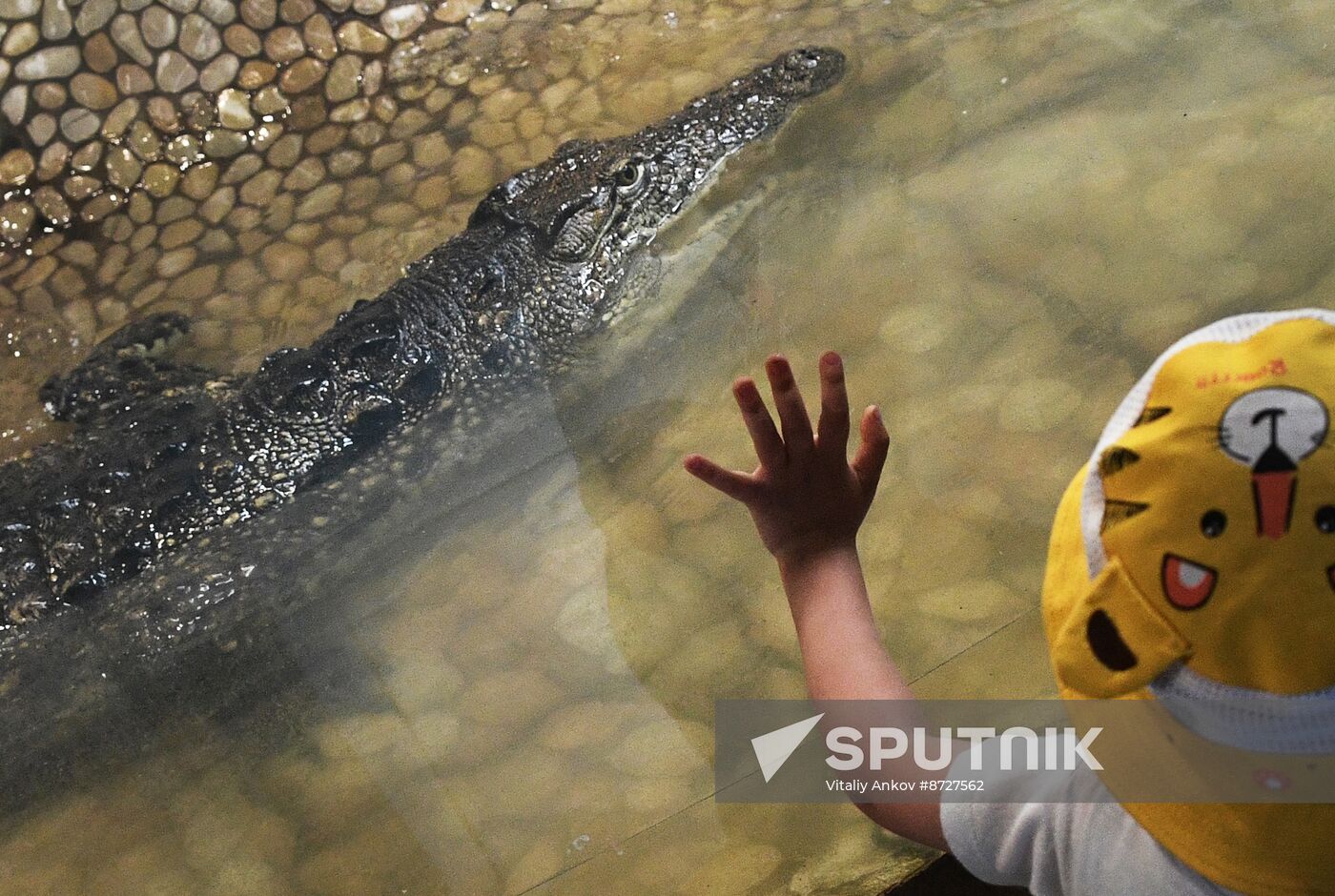 Russia Zoo