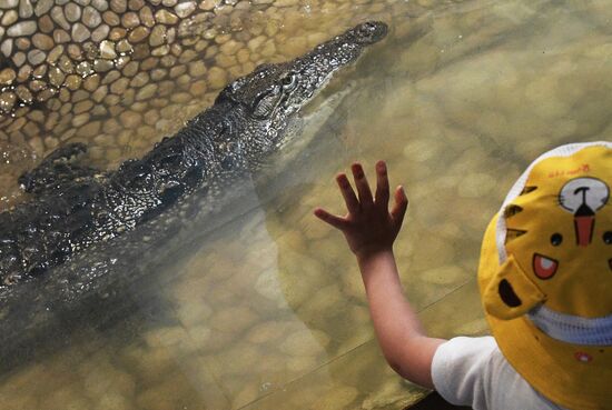 Russia Zoo