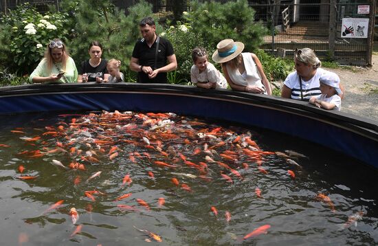 Russia Zoo