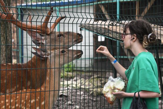 Russia Zoo