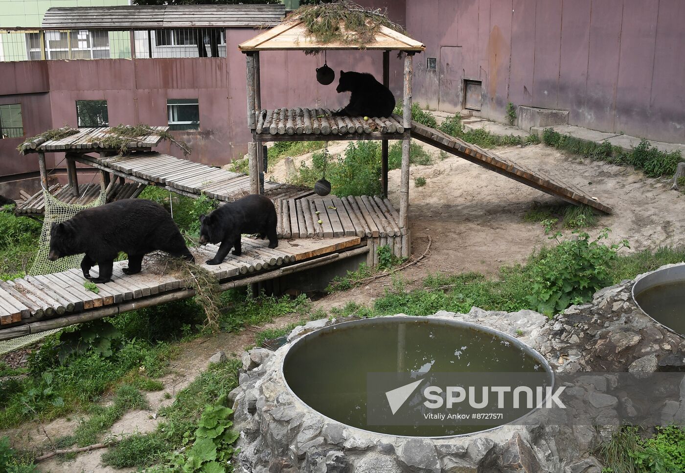 Russia Zoo