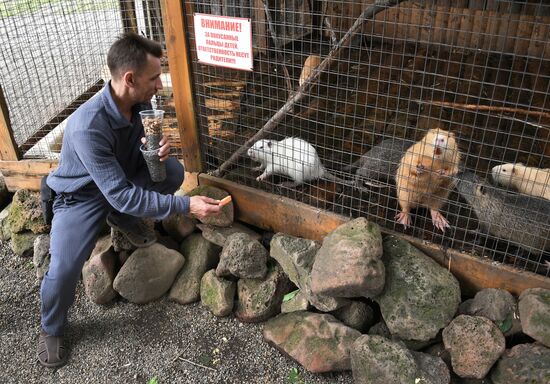 Russia Zoo