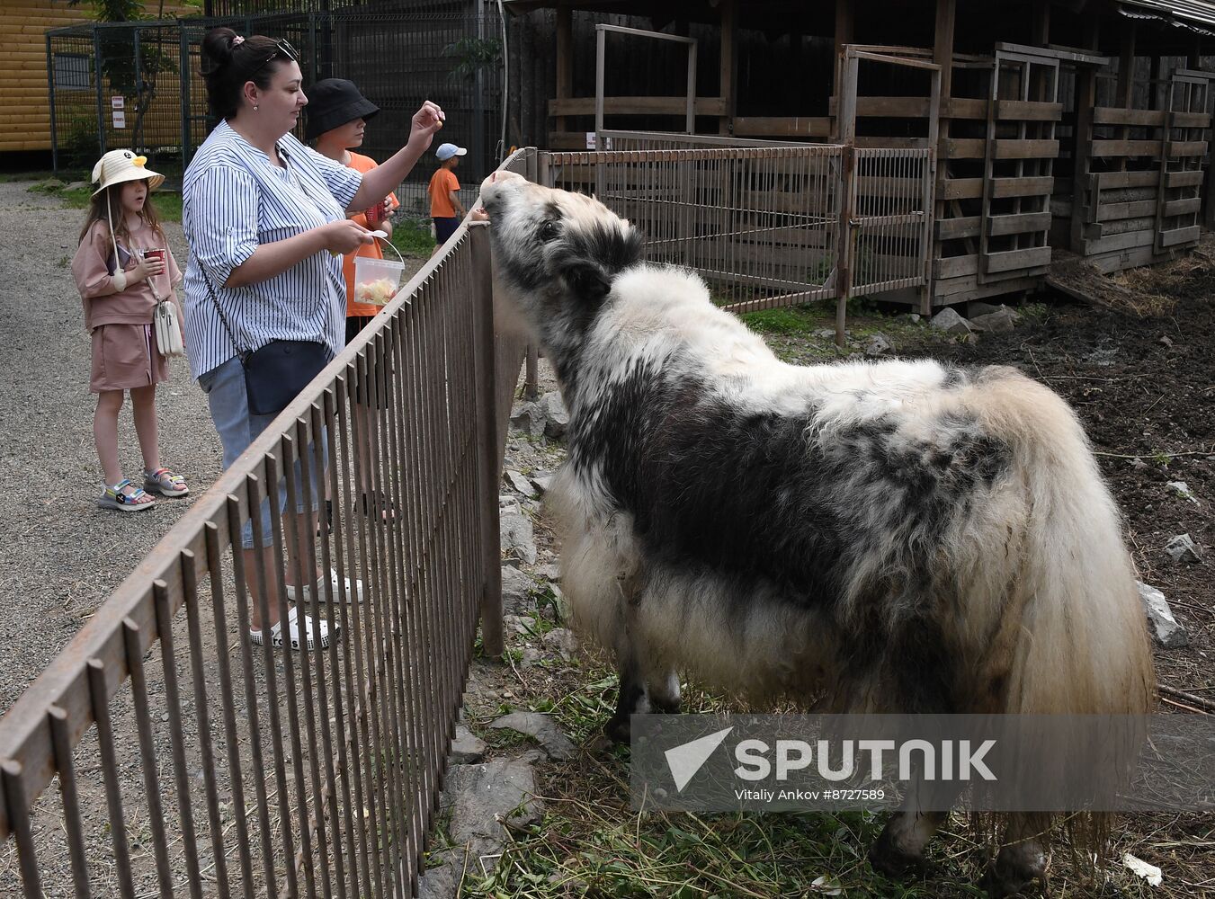Russia Zoo