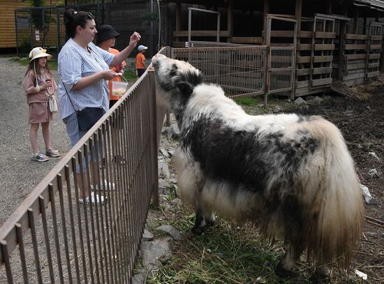 Russia Zoo