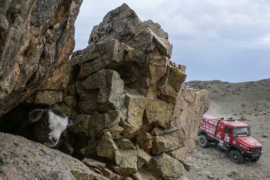 Mongolia Silk Way Rally