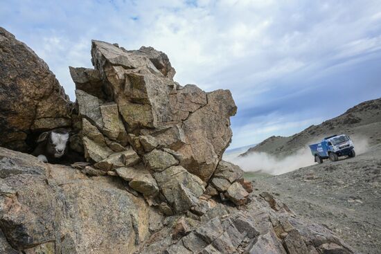 Mongolia Silk Way Rally