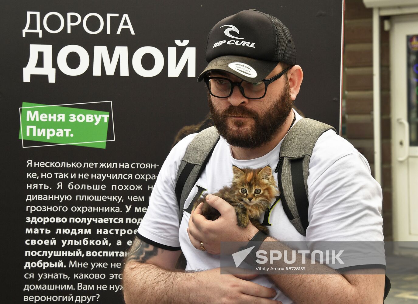 Russia Charity Pets Show