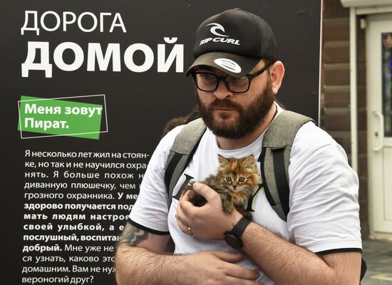 Russia Charity Pets Show