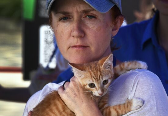 Russia Charity Pets Show