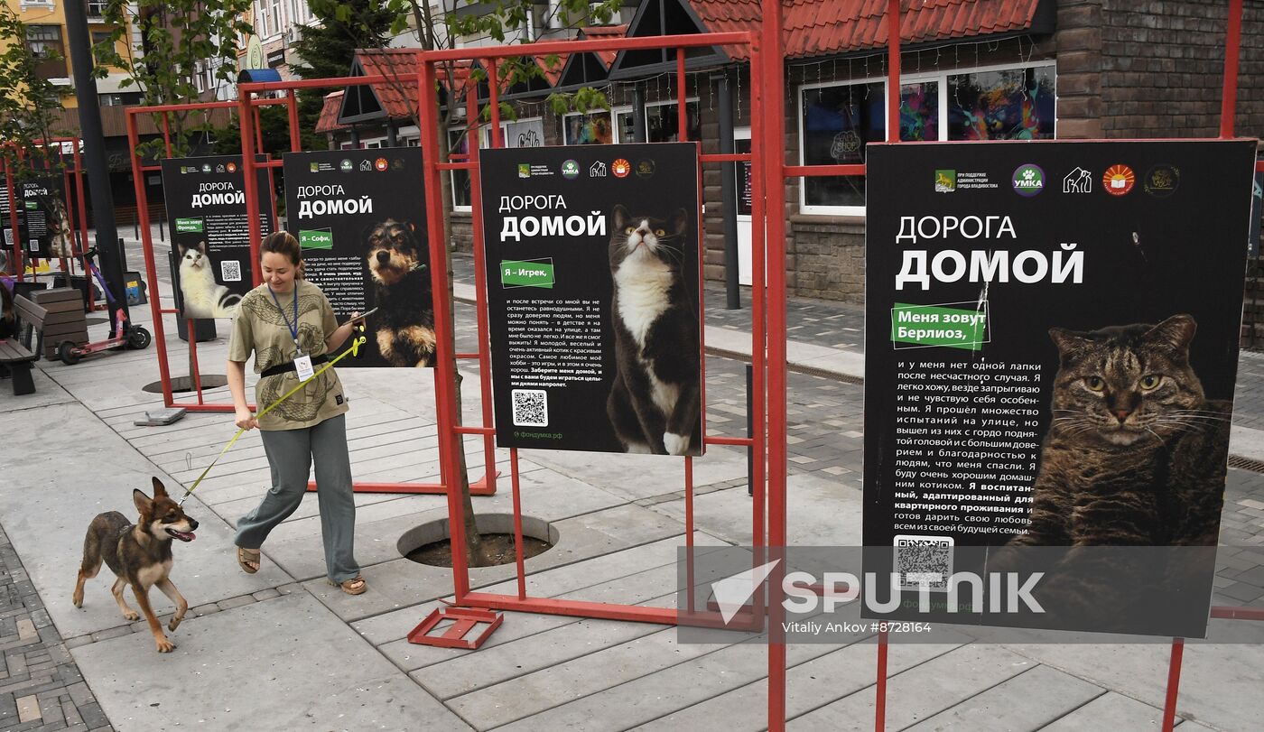 Russia Charity Pets Show