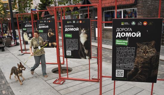 Russia Charity Pets Show