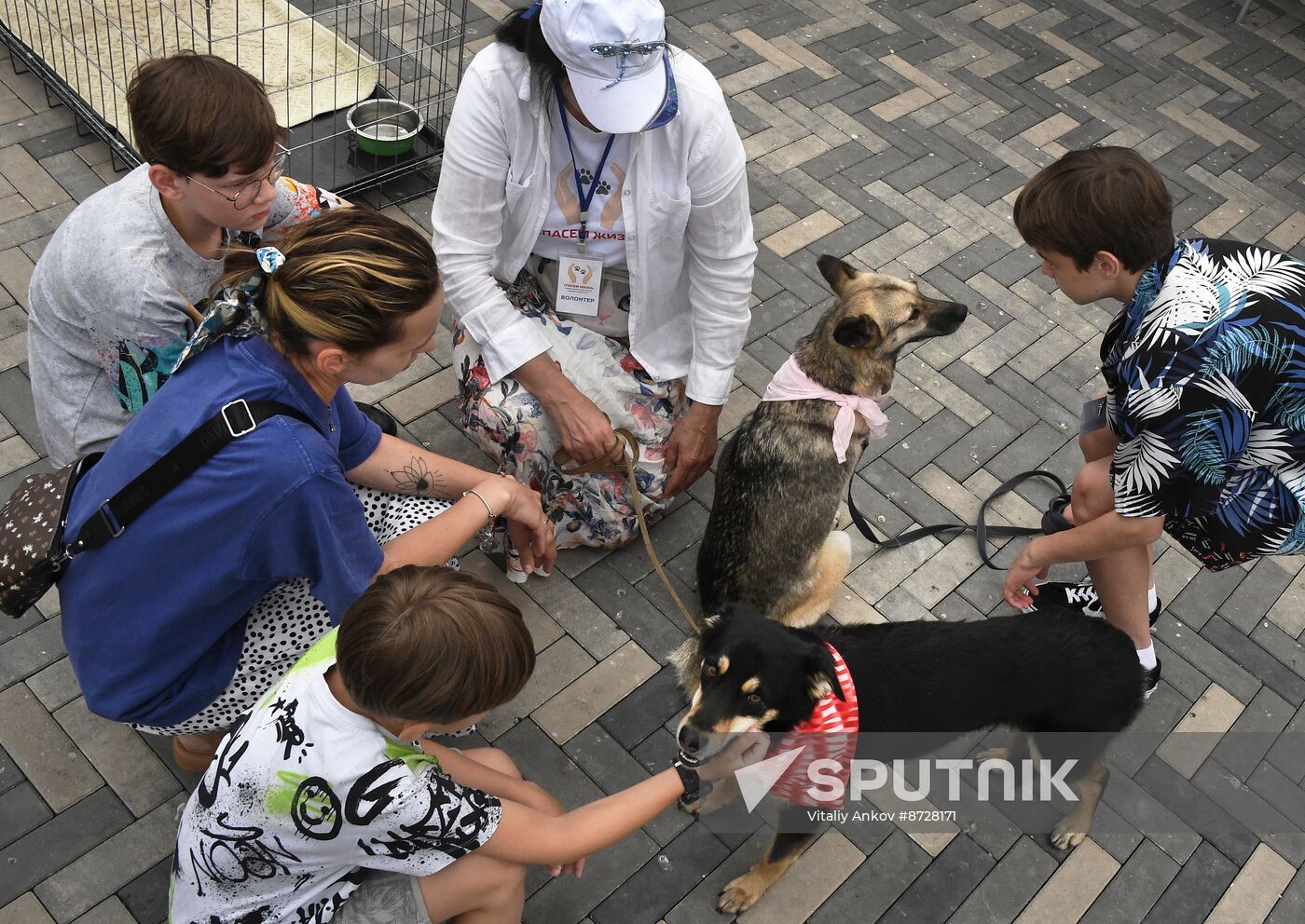 Russia Charity Pets Show