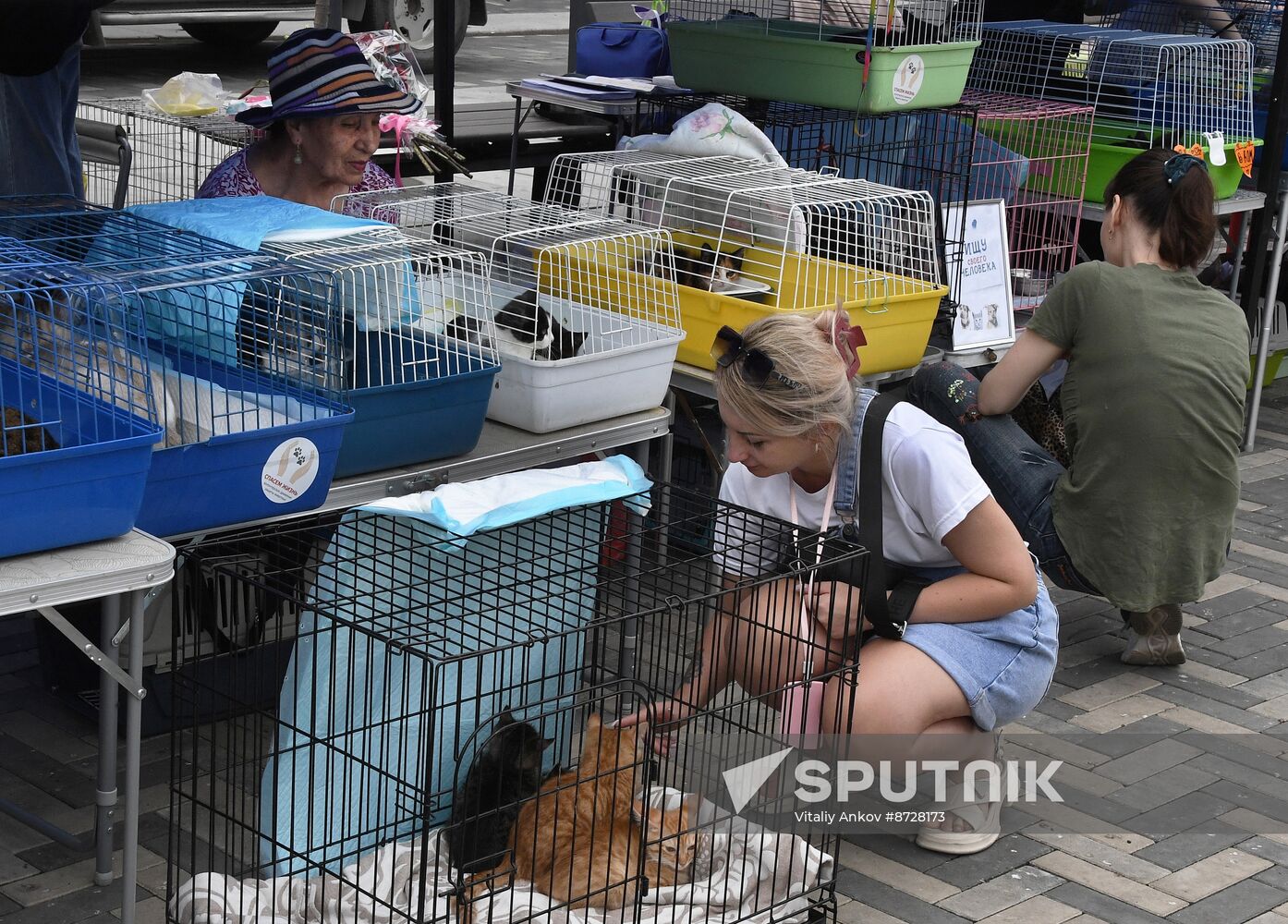 Russia Charity Pets Show