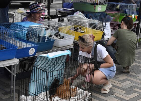 Russia Charity Pets Show