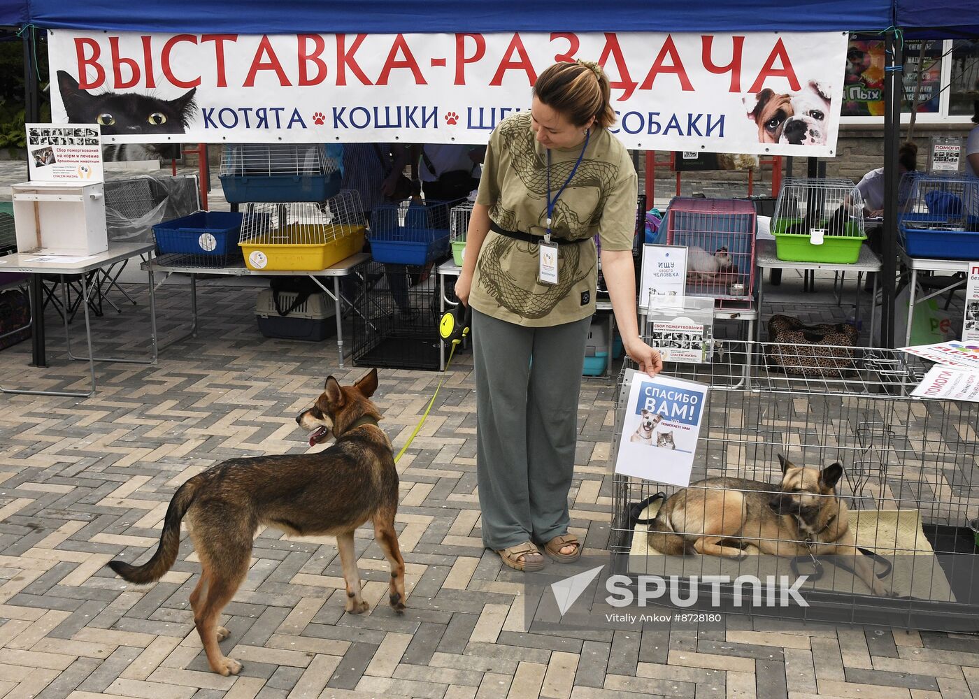 Russia Charity Pets Show