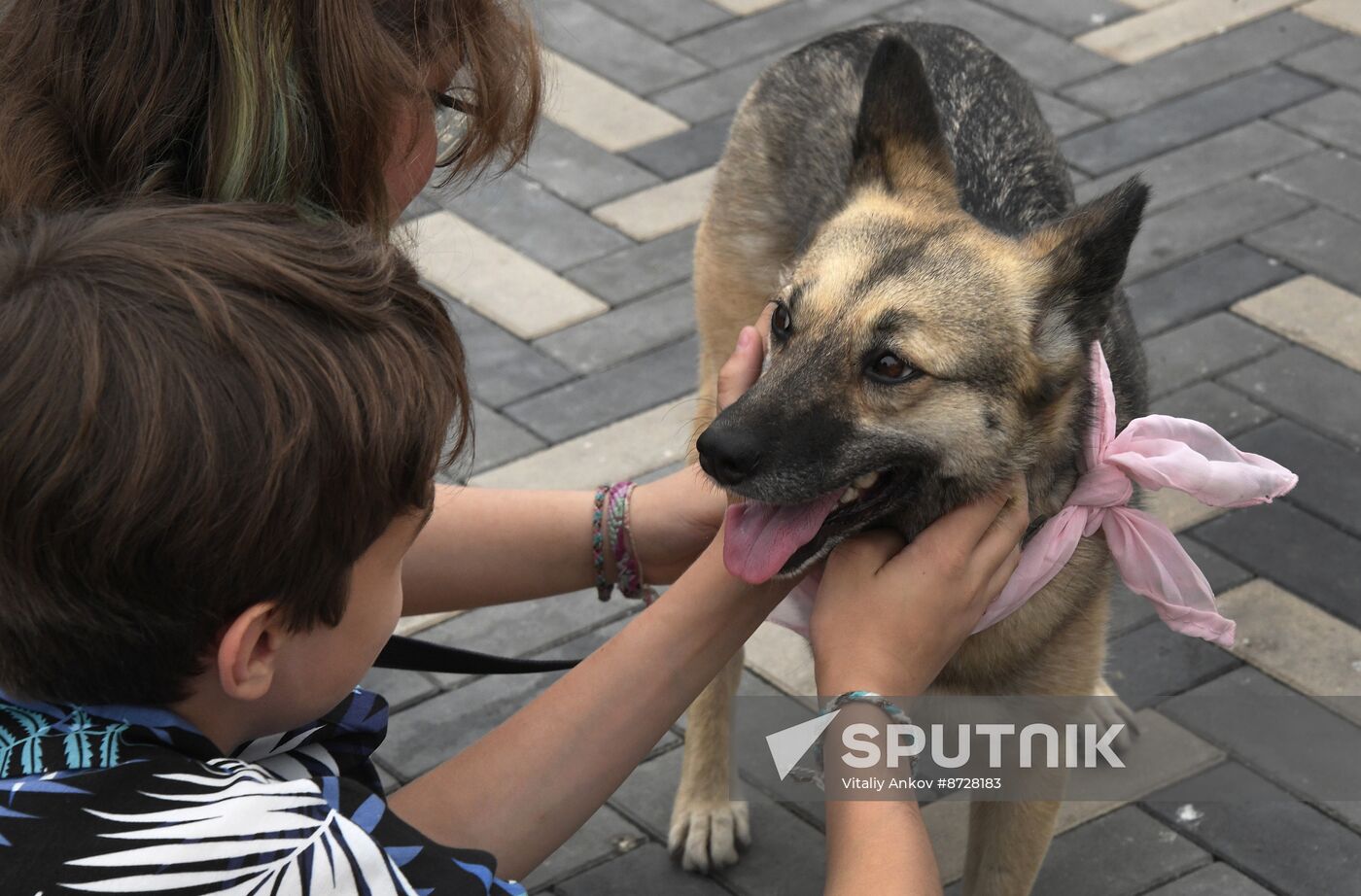 Russia Charity Pets Show