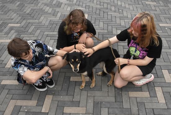 Russia Charity Pets Show