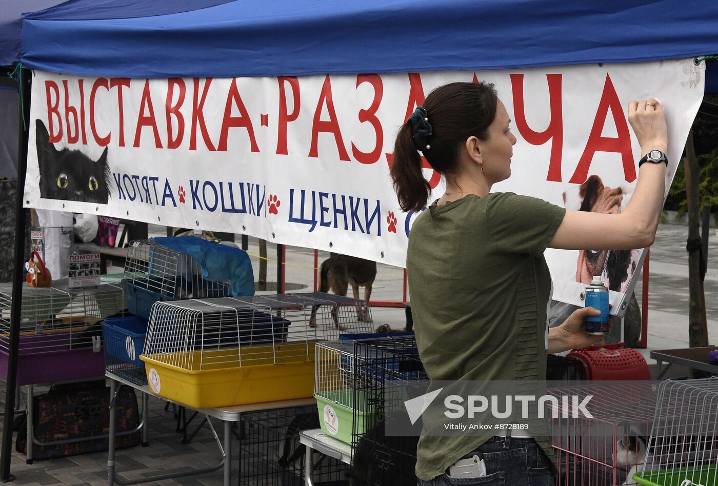 Russia Charity Pets Show