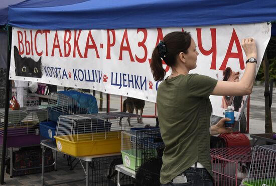 Russia Charity Pets Show