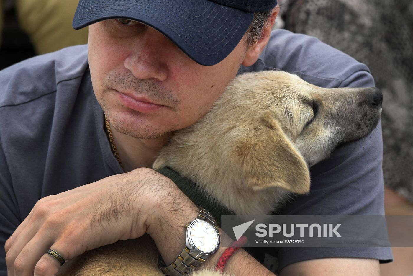 Russia Charity Pets Show