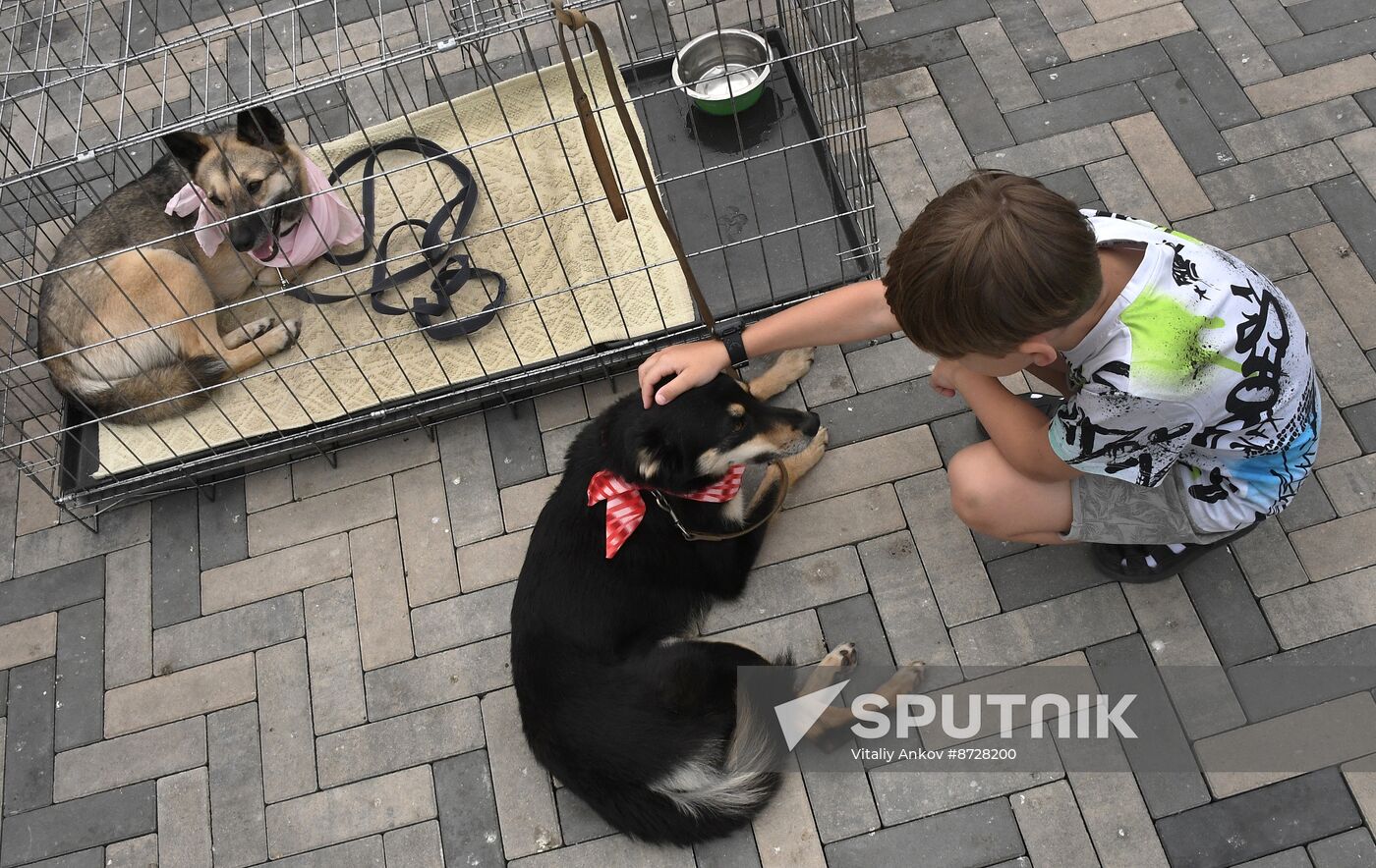 Russia Charity Pets Show