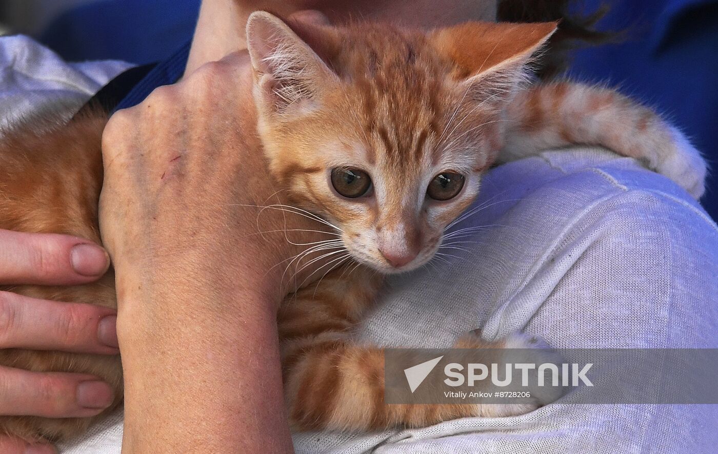 Russia Charity Pets Show