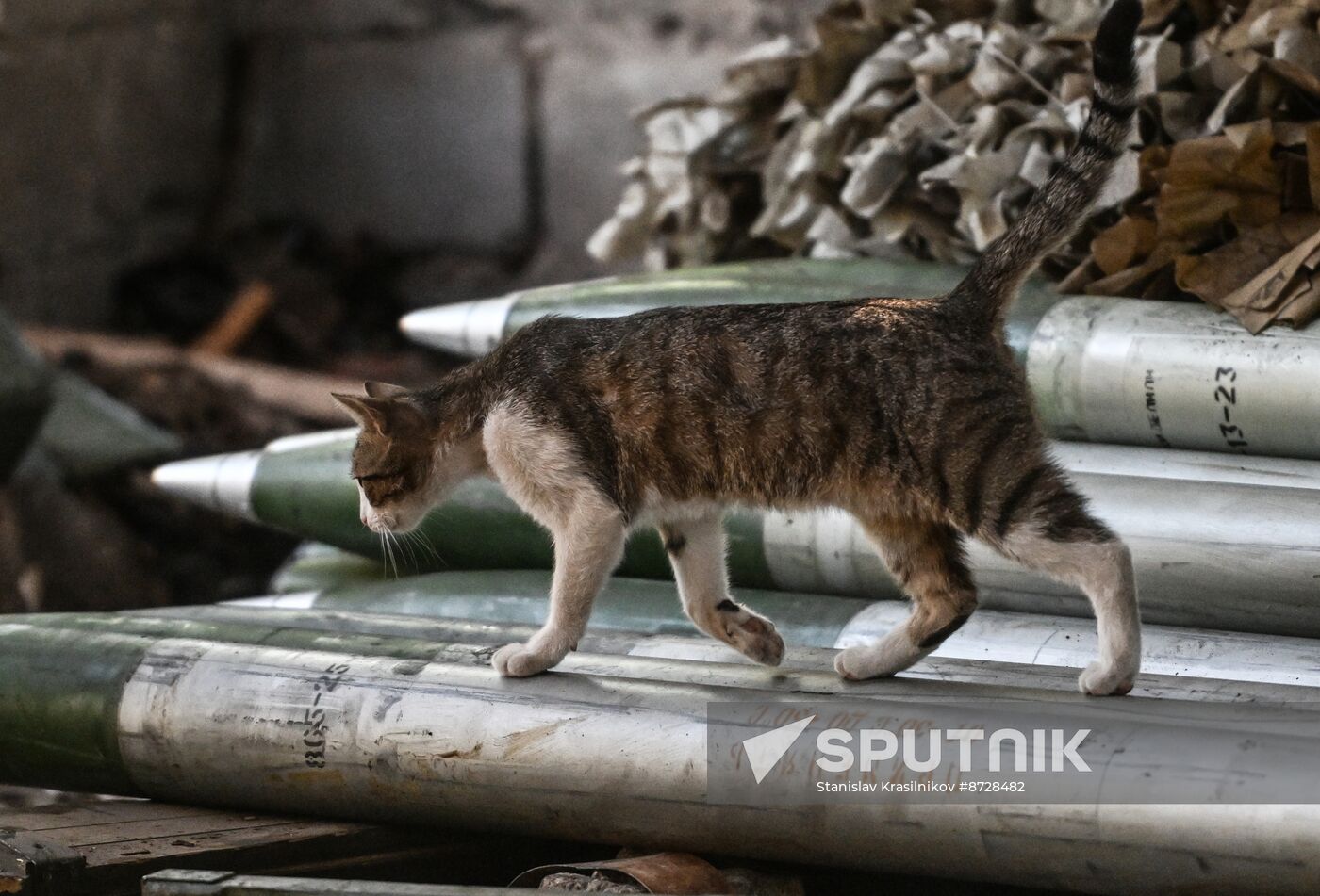 Russia Ukraine Military Operation Artillery Units