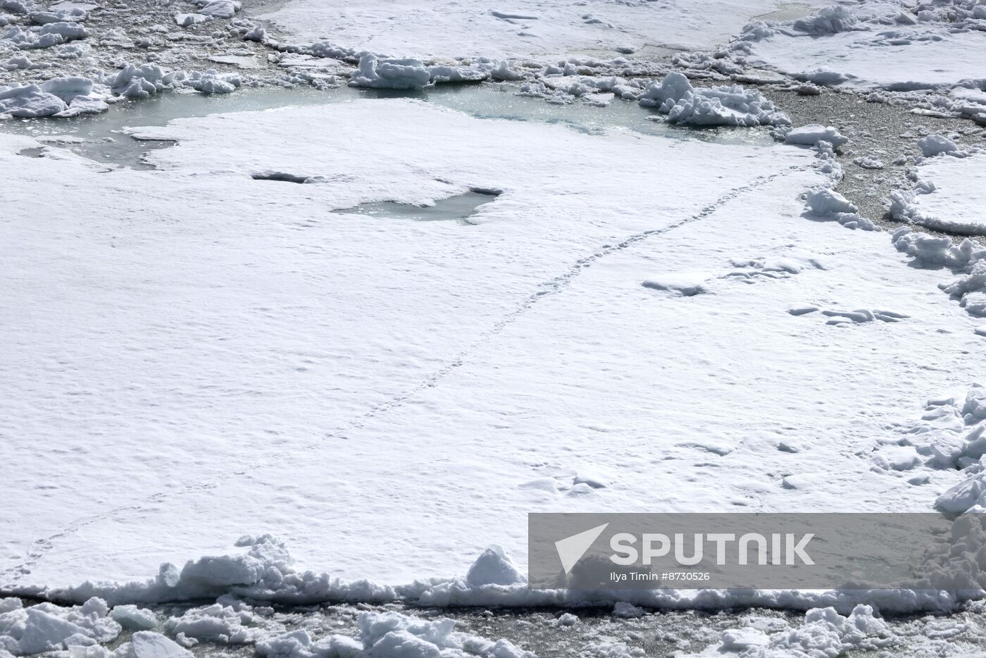 Russia North Pole Icebreaker Expedition