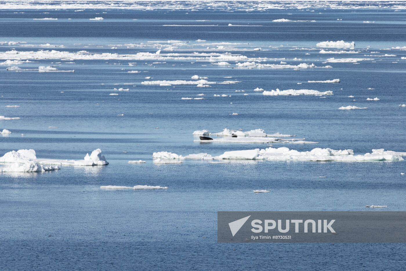 Russia North Pole Icebreaker Expedition