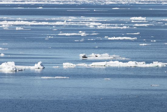Russia North Pole Icebreaker Expedition